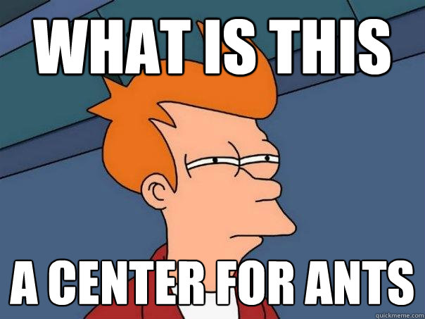What is this a center for ants  Futurama Fry
