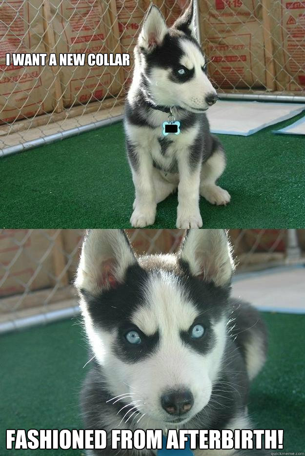 I want a new collar FASHIONED FROM AFTERBIRTH!  Insanity puppy