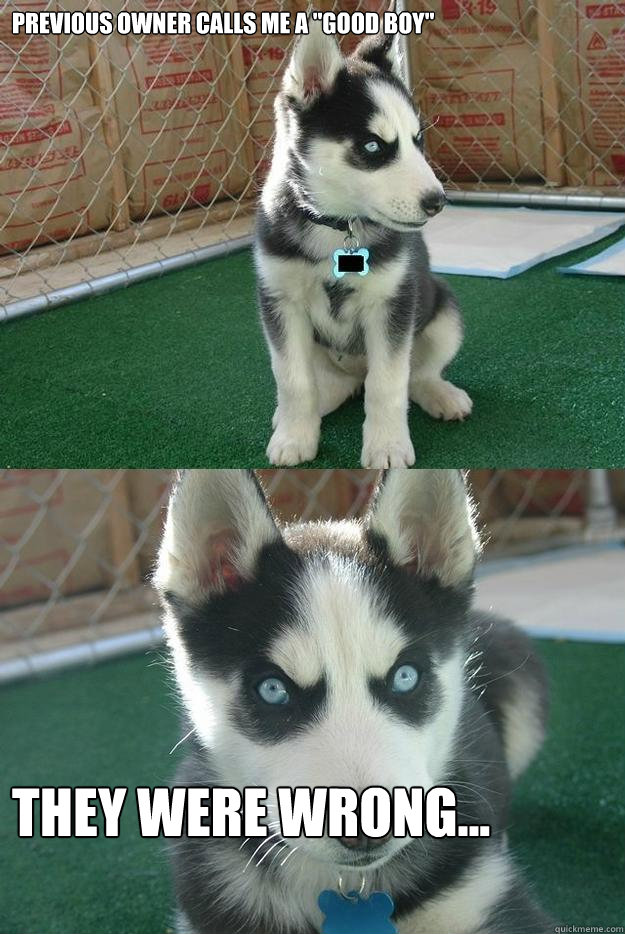 Previous owner calls me a 