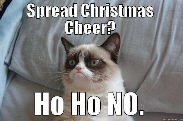 SPREAD CHRISTMAS CHEER? HO HO NO. Grumpy Cat