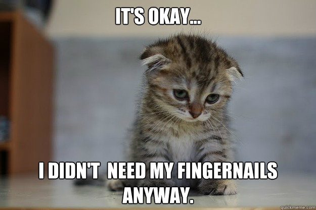 it's okay... i didn't  need my fingernails anyway.  Sad Kitten