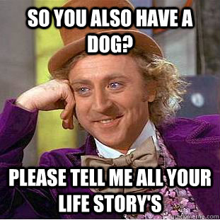 So you also have a dog? Please tell me all your life story's  Creepy Wonka