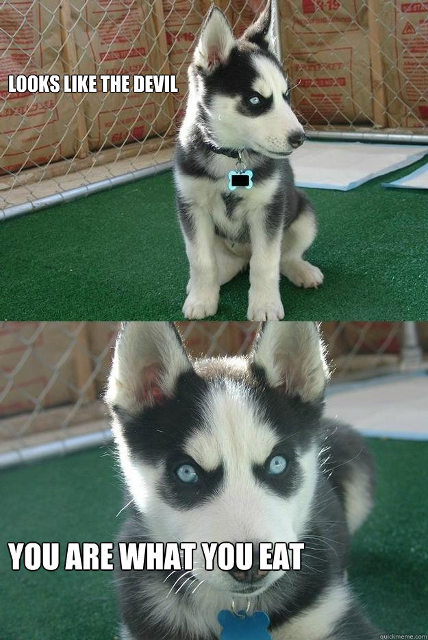 Looks like the devil You are what you eat  Insanity puppy