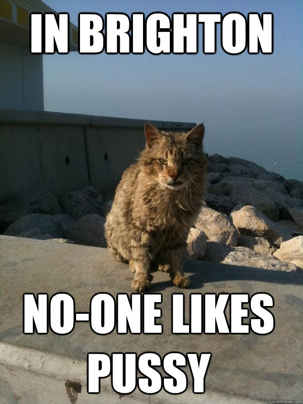 in brighton no-one likes pussy - in brighton no-one likes pussy  Bitter Cat