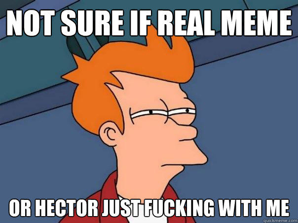 Not sure if real meme Or Hector just fucking with me  Futurama Fry
