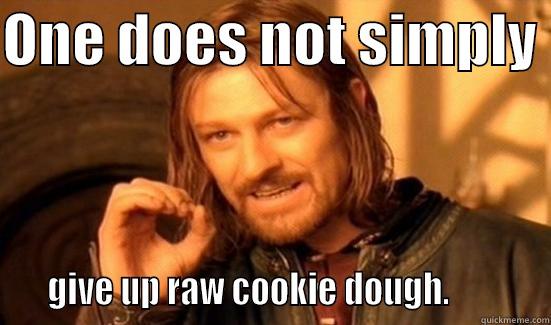 ONE DOES NOT SIMPLY     GIVE UP RAW COOKIE DOUGH.           Boromir
