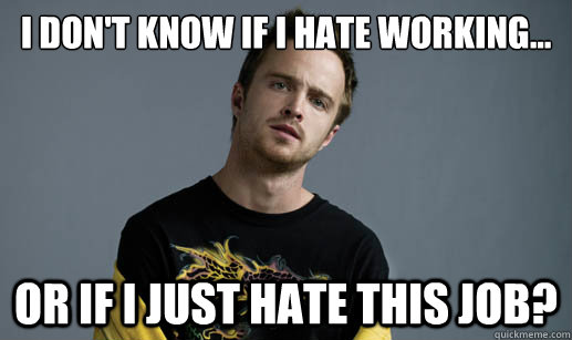 I don't know if i hate working... or if i just hate this job?  Jesse Pinkman Loves the word Bitch