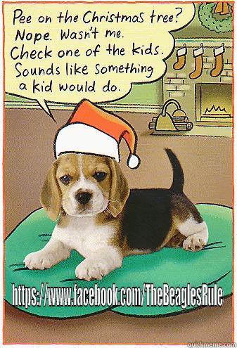 Beagle with Santa hat -  HTTPS://WWW.FACEBOOK.COM/THEBEAGLESRULE  Misc