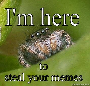 Meme thief - I'M HERE TO STEAL YOUR MEMES Misunderstood Spider