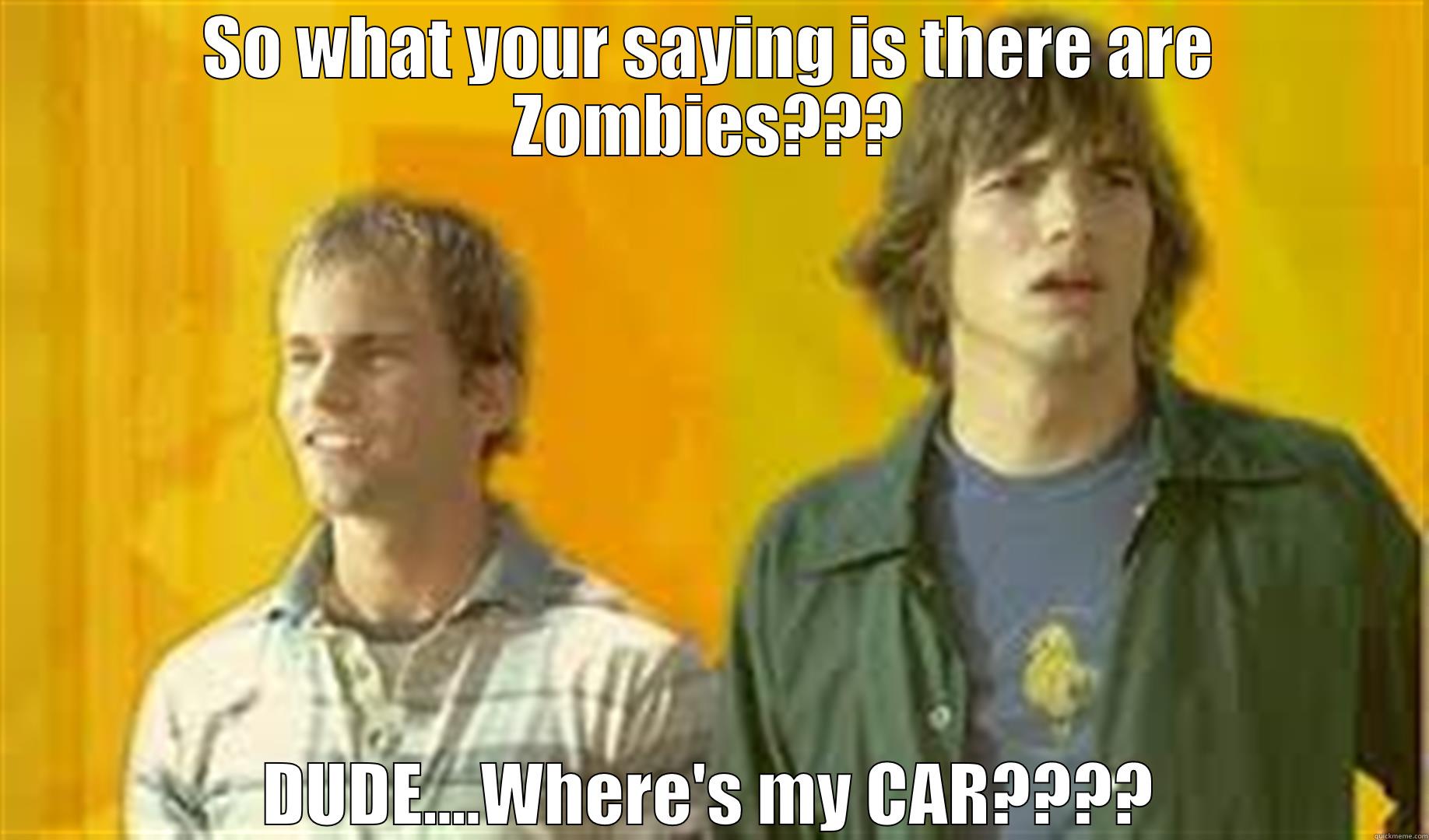 SO WHAT YOUR SAYING IS THERE ARE ZOMBIES??? DUDE....WHERE'S MY CAR???? Misc