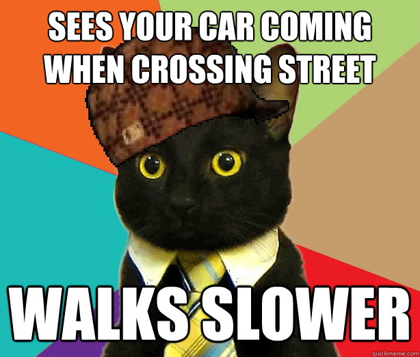 sees your car coming when crossing street walks slower  Scumbag Cat