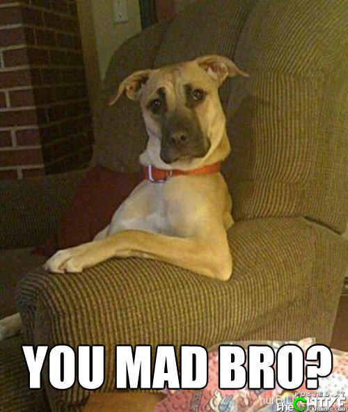 you mad bro? - you mad bro?  Dog You Mad Bro