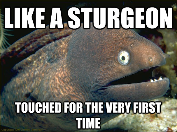 like a sturgeon touched for the very first time  Bad Joke Eel