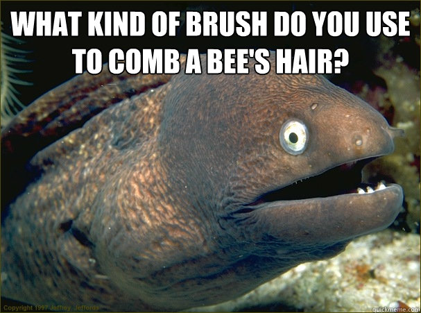 What kind of brush do you use to comb a bee's hair?   Bad Joke Eel