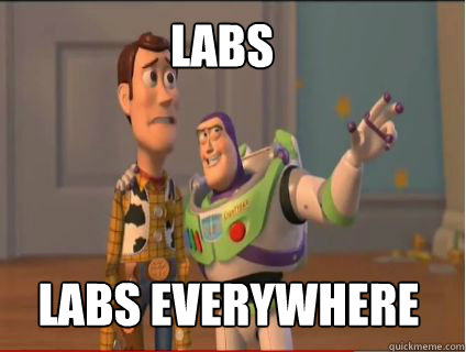 labs labs everywhere  woody and buzz