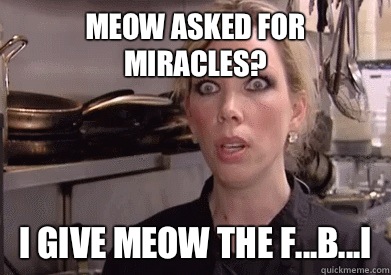Meow asked for miracles? I give meow the F...B...I  Crazy Amy