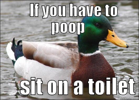     IF YOU HAVE TO POOP       SIT ON A TOILET Actual Advice Mallard
