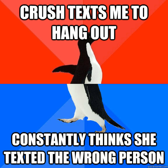 Crush texts me to hang out constantly thinks she texted the wrong person  Socially Awesome Awkward Penguin