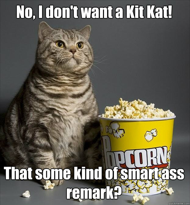 No, I don't want a Kit Kat! That some kind of smart ass remark? - No, I don't want a Kit Kat! That some kind of smart ass remark?  Critic Cat