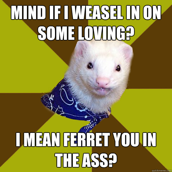 mind if i weasel in on some loving? I mean ferret you in the ass?  