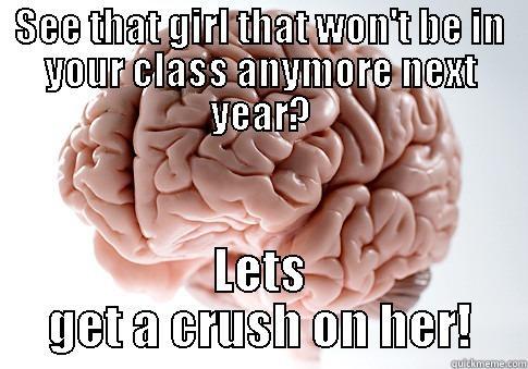 SEE THAT GIRL THAT WON'T BE IN YOUR CLASS ANYMORE NEXT YEAR? LETS GET A CRUSH ON HER! Scumbag Brain