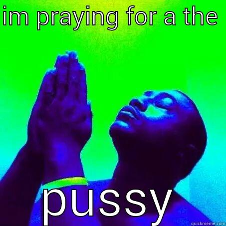 IM PRAYING FOR THE  PUSSY Misc