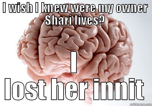 I WISH I KNEW WERE MY OWNER SHARI LIVES? I LOST HER INNIT Scumbag Brain