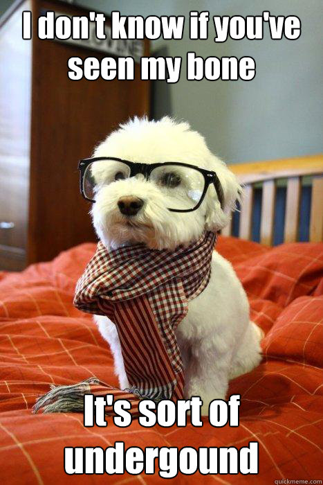 I don't know if you've seen my bone It's sort of undergound  Hipster Dog