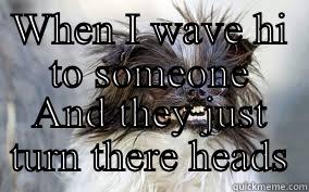 WHEN I WAVE HI TO SOMEONE AND THEY JUST TURN THERE HEADS Misc