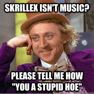 skrillex isn't music? please tell me how 