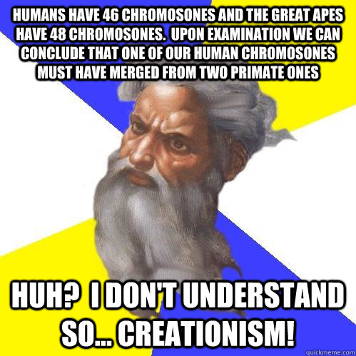 HUMANS HAVE 46 CHROMOSONES AND THE GREAT APES HAVE 48 CHROMOSONES.  UPON EXAMINATION WE CAN CONCLUDE THAT ONE OF OUR HUMAN CHROMOSONES MUST HAVE MERGED FROM TWO PRIMATE ONES HUH?  i DON'T UNDERSTAND SO... CREATIONISM!  Advice God