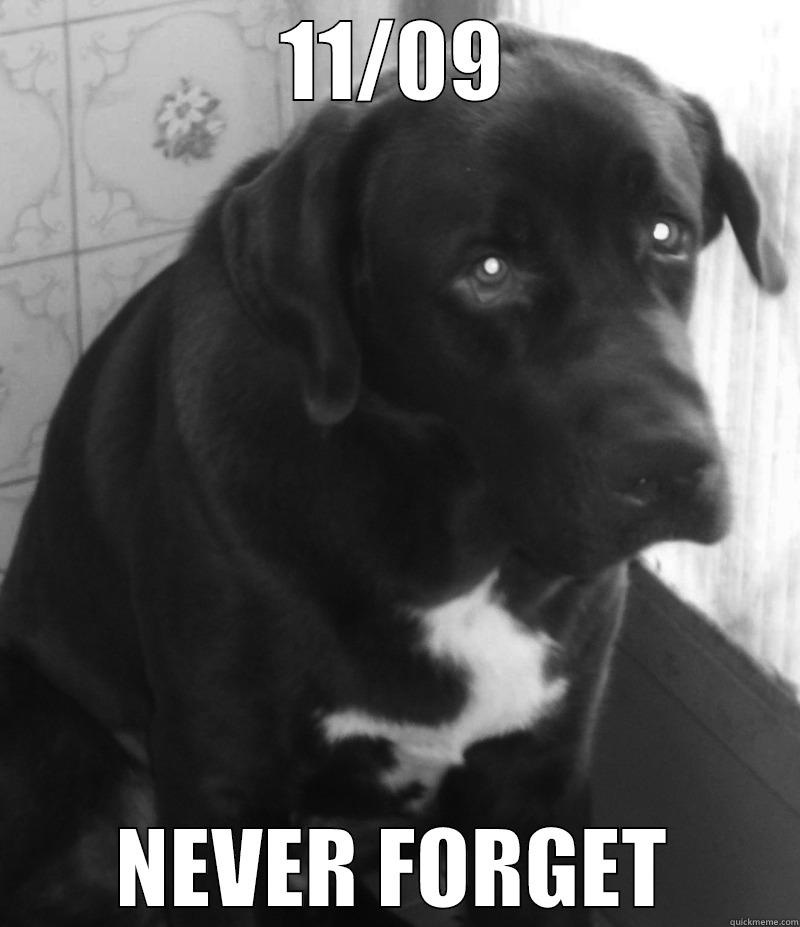 WORLD TRADE DOG - 11/09 NEVER FORGET Misc