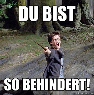DU BIST SO BEHINDERT!  Pissed off Harry