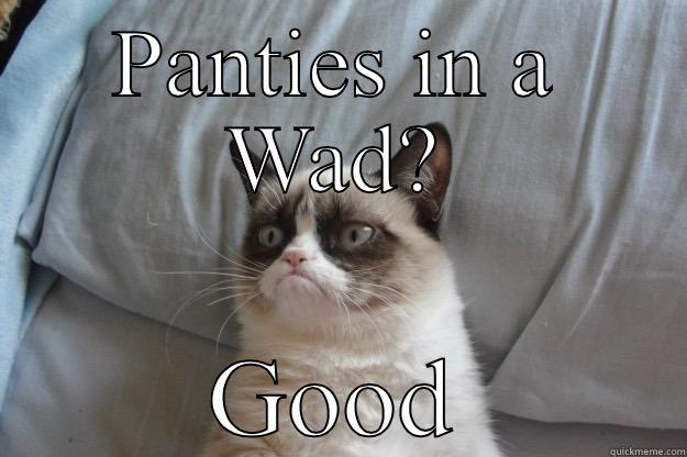 Panties in a wad - PANTIES IN A WAD? GOOD Grumpy Cat