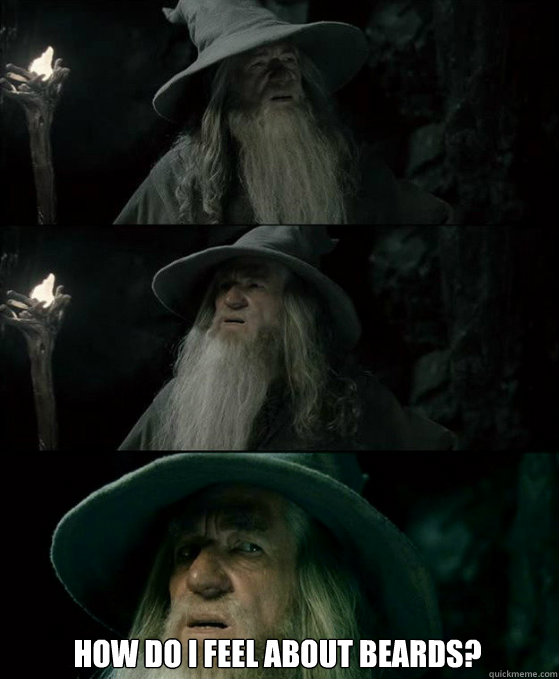  How do I feel about beards?  Gandalf September