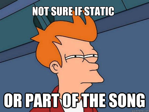 Not sure if static Or part of the song  Futurama Fry