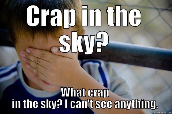 CRAP IN THE SKY? WHAT CRAP IN THE SKY? I CAN'T SEE ANYTHING. Confession kid