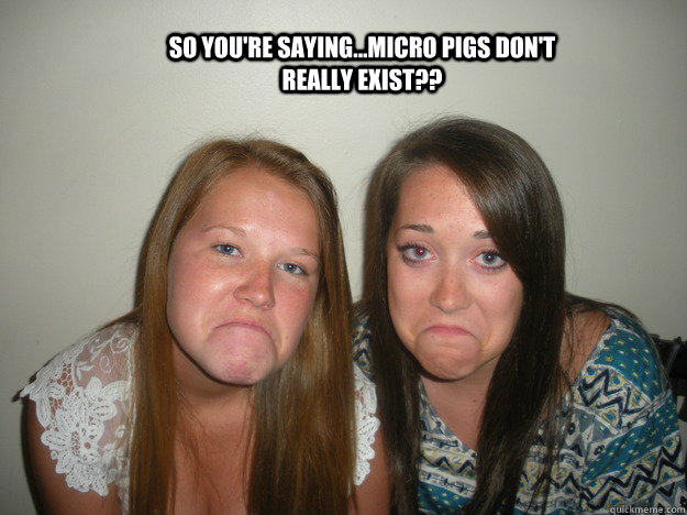 so you're saying...micro pigs don't really exist??  Sad Face