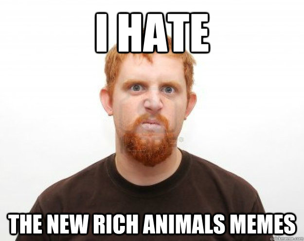 I hate the new rich animals memes - I hate the new rich animals memes  Angry guy