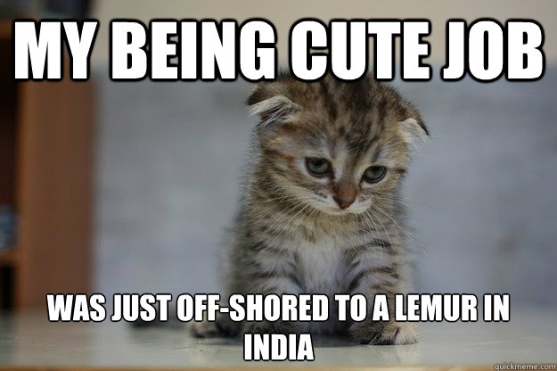 my being cute job was just off-shored to a lemur in india  Sad Kitten