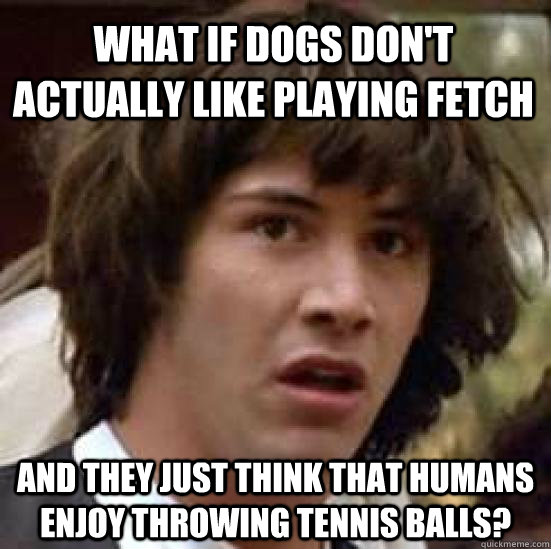 What if dogs don't actually like playing fetch and they just think that humans enjoy throwing tennis balls?  conspiracy keanu