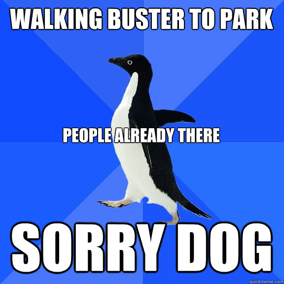 walking buster to park people already there SORRY DOG  Socially Awkward Penguin