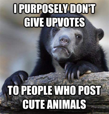 I PURPOSELY DON'T GIVE UPVOTES TO PEOPLE WHO POST CUTE ANIMALS - I PURPOSELY DON'T GIVE UPVOTES TO PEOPLE WHO POST CUTE ANIMALS  Confession Bear