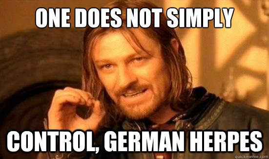 One Does Not Simply control, german herpes  Boromir