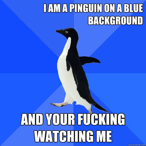 I AM A PINGUIN ON A BLUE BACKGROUND AND YOUR FUCKING WATCHING ME  Socially Awkward Penguin
