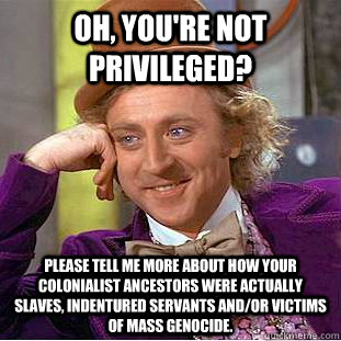 Oh, you're not privileged? Please tell me more about how your colonialist ancestors were actually slaves, indentured servants and/or victims of mass genocide.  Condescending Wonka