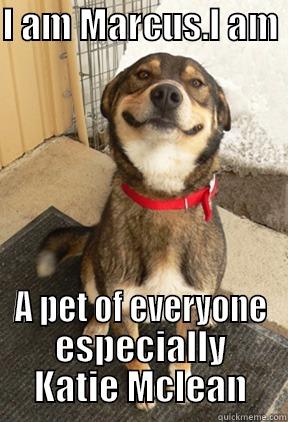 I AM MARCUS.I AM  A PET OF EVERYONE ESPECIALLY KATIE MCLEAN Good Dog Greg