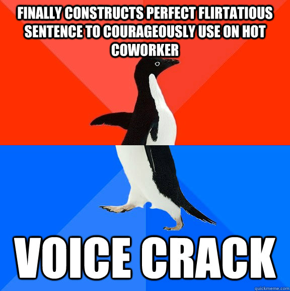 finally constructs perfect flirtatious sentence to courageously use on hot coworker voice crack  Socially Awesome Awkward Penguin