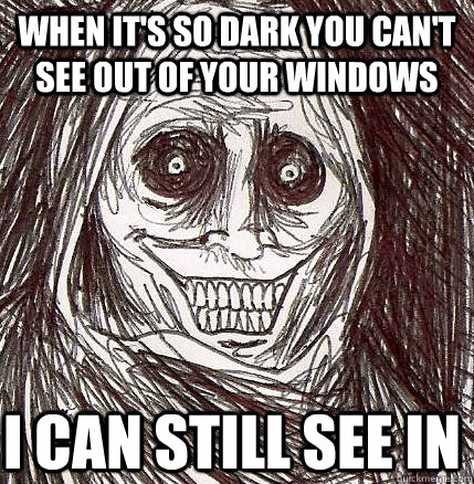 when it's so dark you can't see out of your windows i can still see in  Horrifying Houseguest