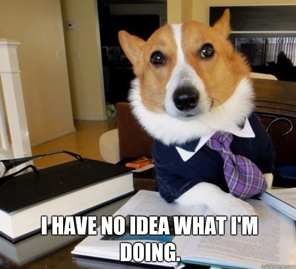  I have no idea what I'm doing.  Lawyer Dog